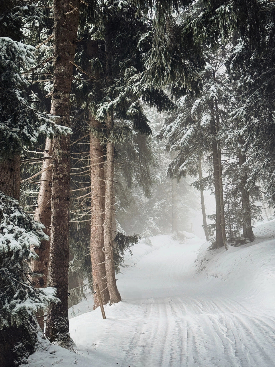 Snow State 07