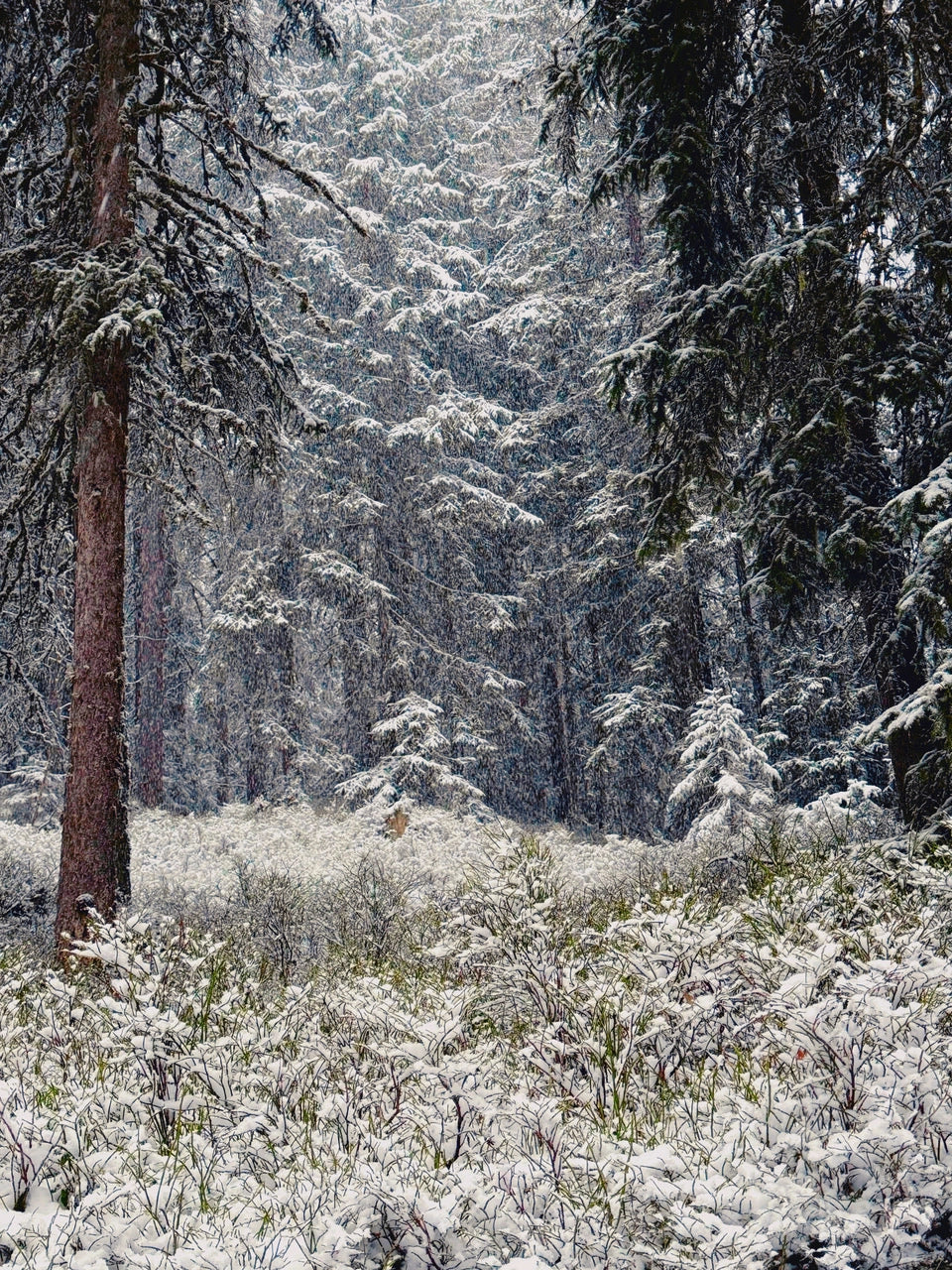 Snow State 08