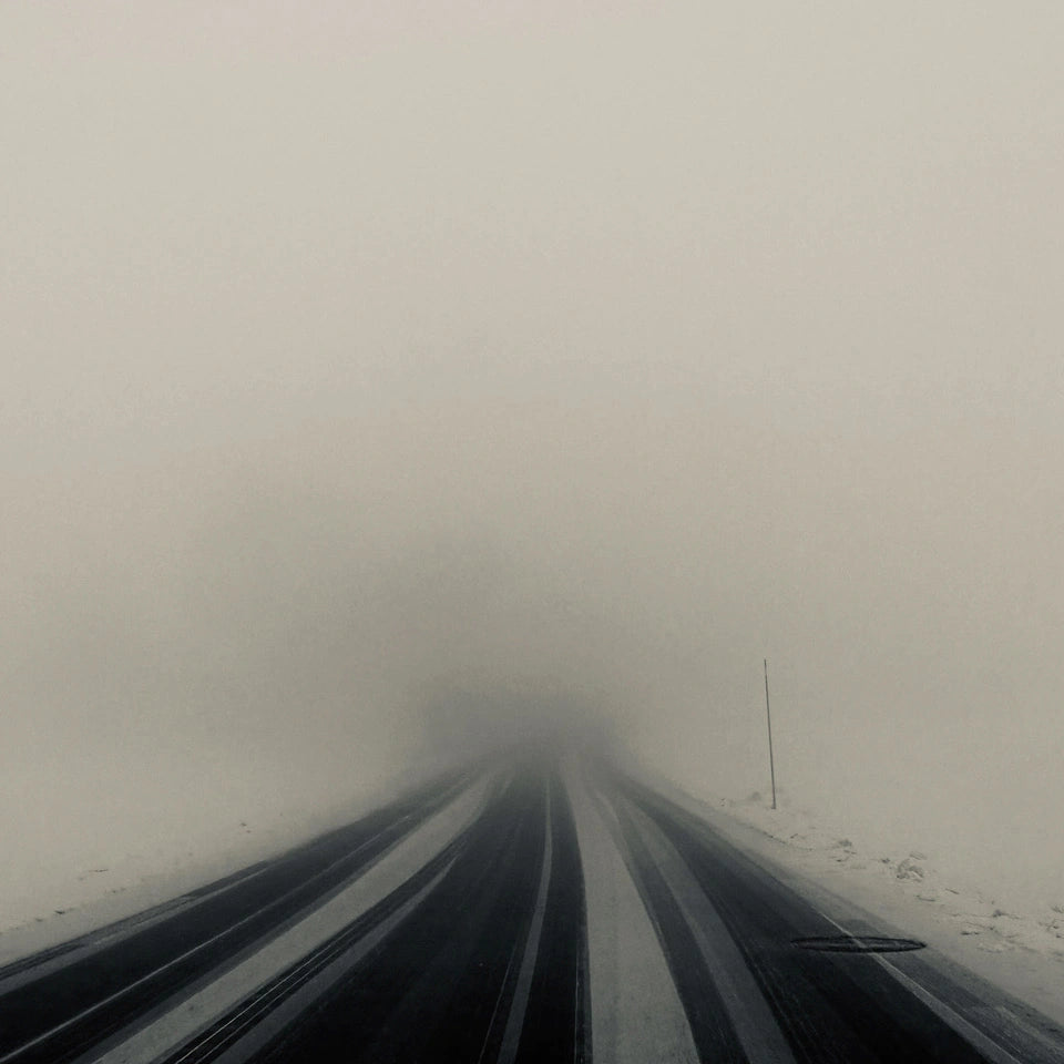 Winter Study 05