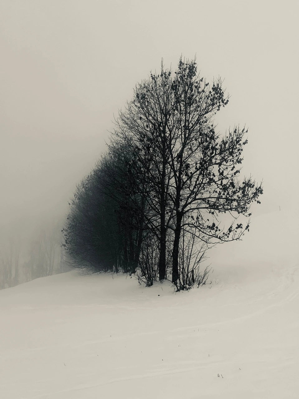 Snow State 01