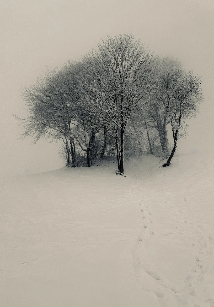 Snow State 02