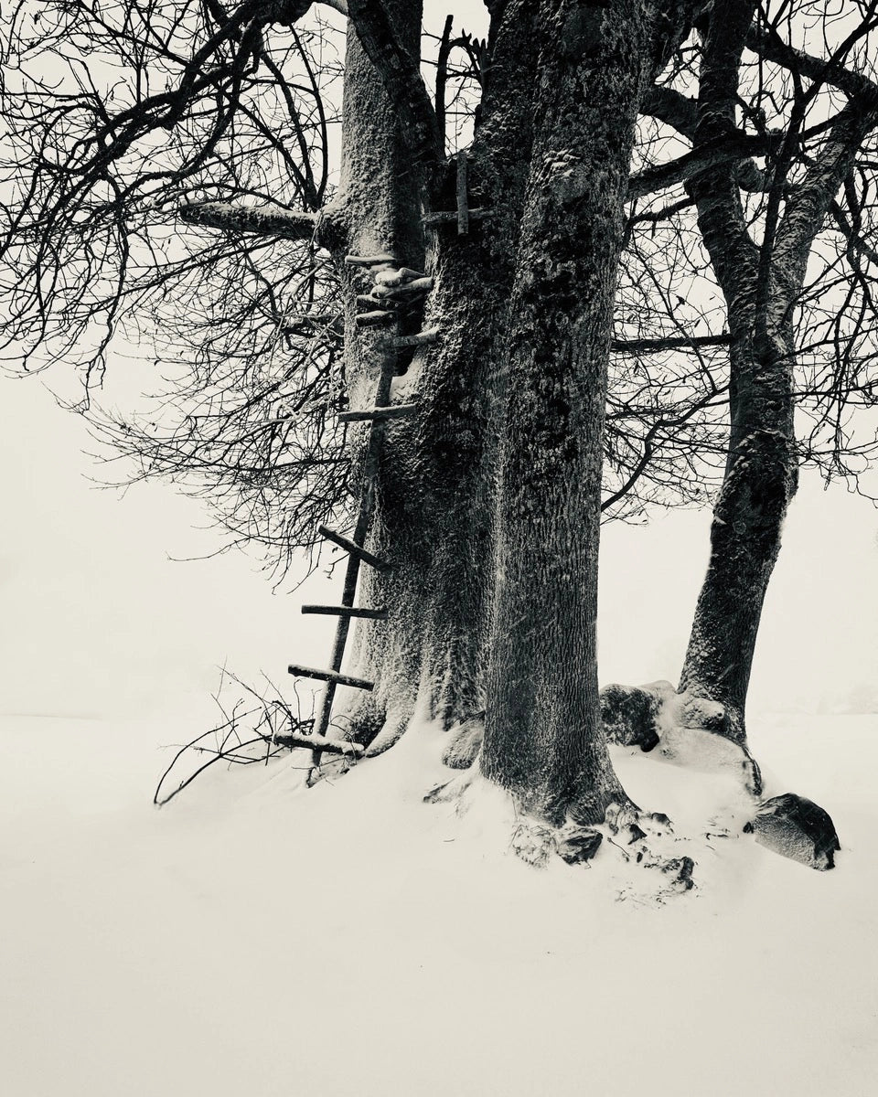 Snow State 04