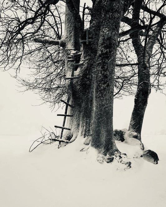 Snow State 04