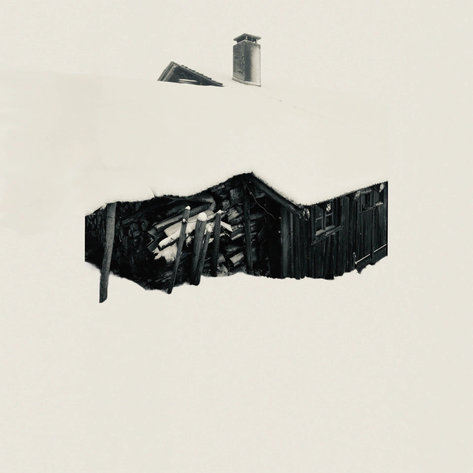 Winter Study 06