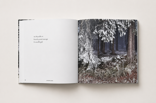 Contemplations