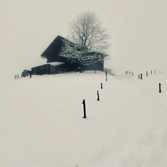 Winter Study 01