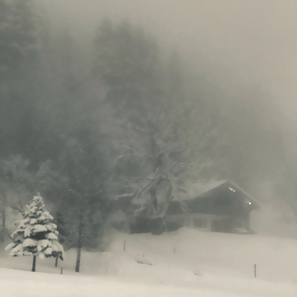 Winter Study 02
