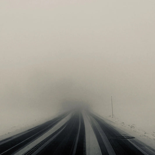 Winter Study 05