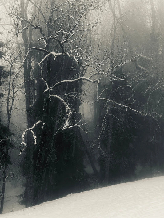 Snow State 05