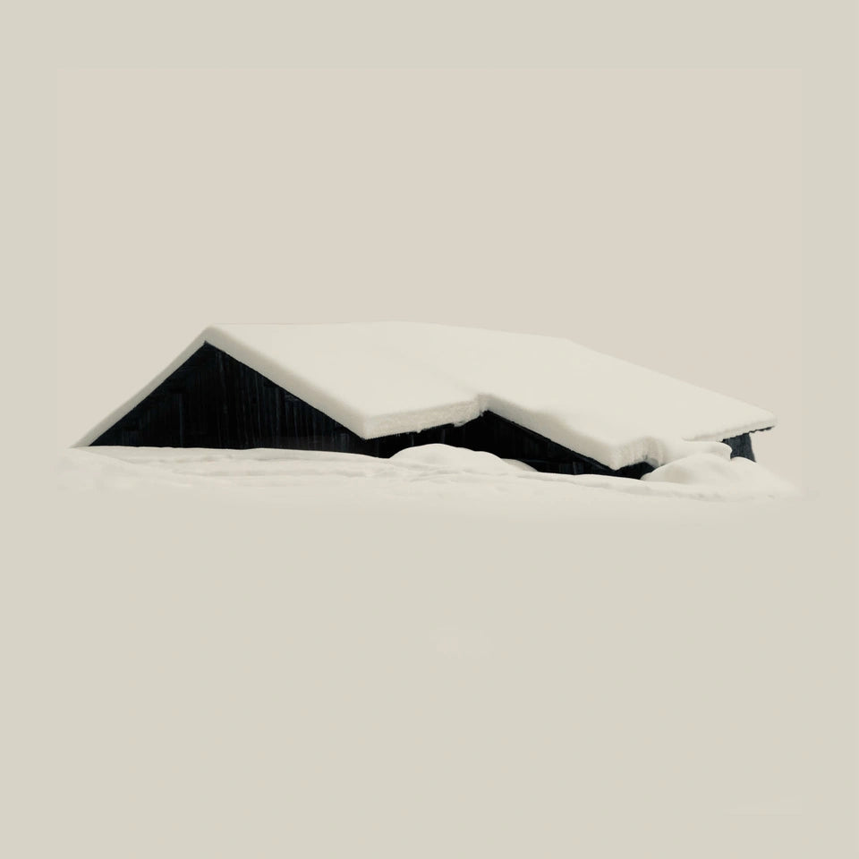Winter Study 08