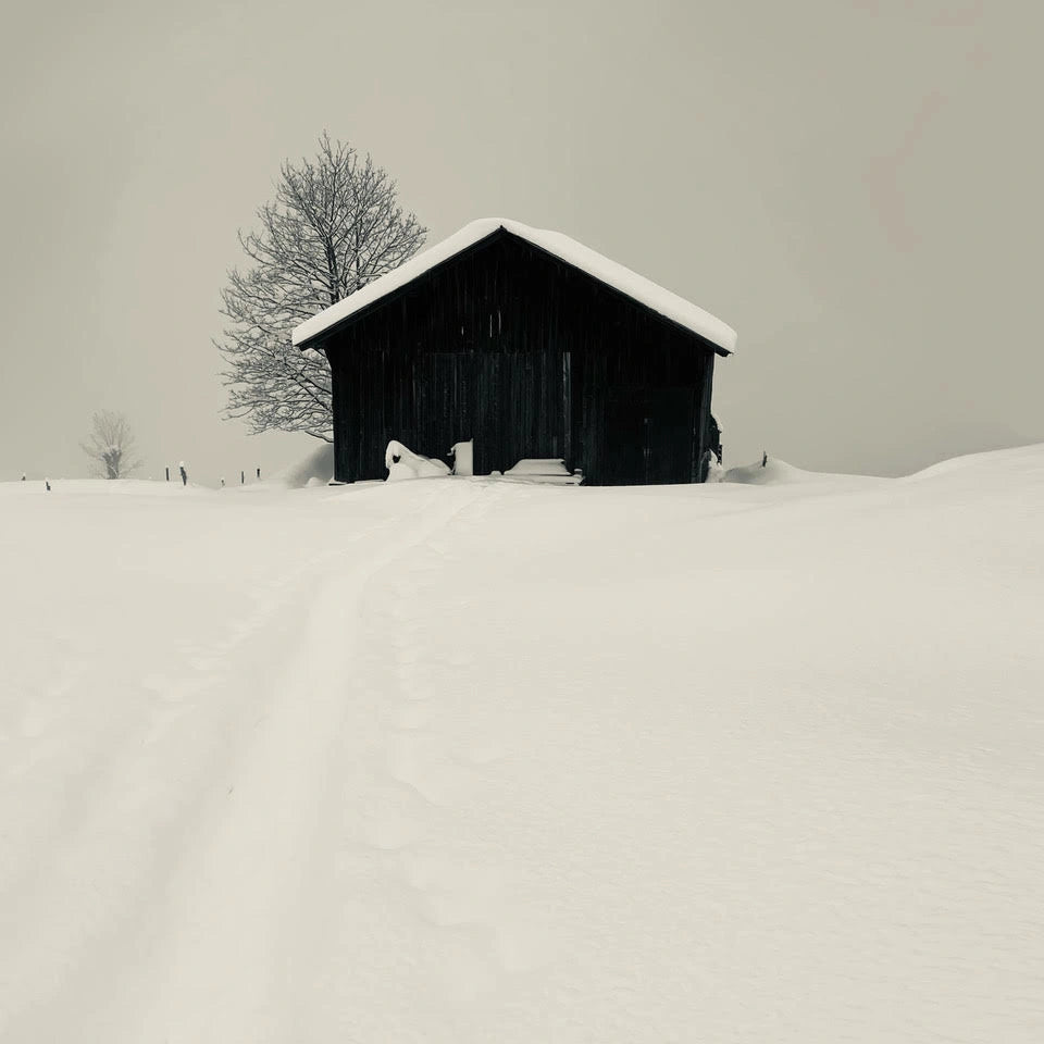 Winter Study 04