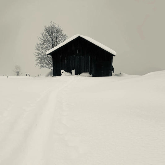 Winter Study 04