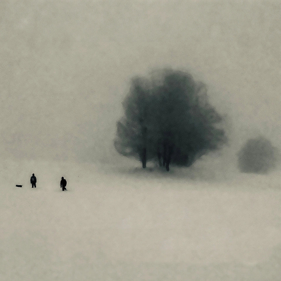 Winter Study 03